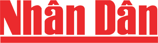 Nhân Dân